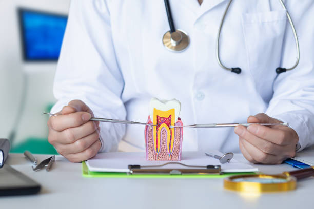 Best Walk-In Emergency Dental Services in Central, LA